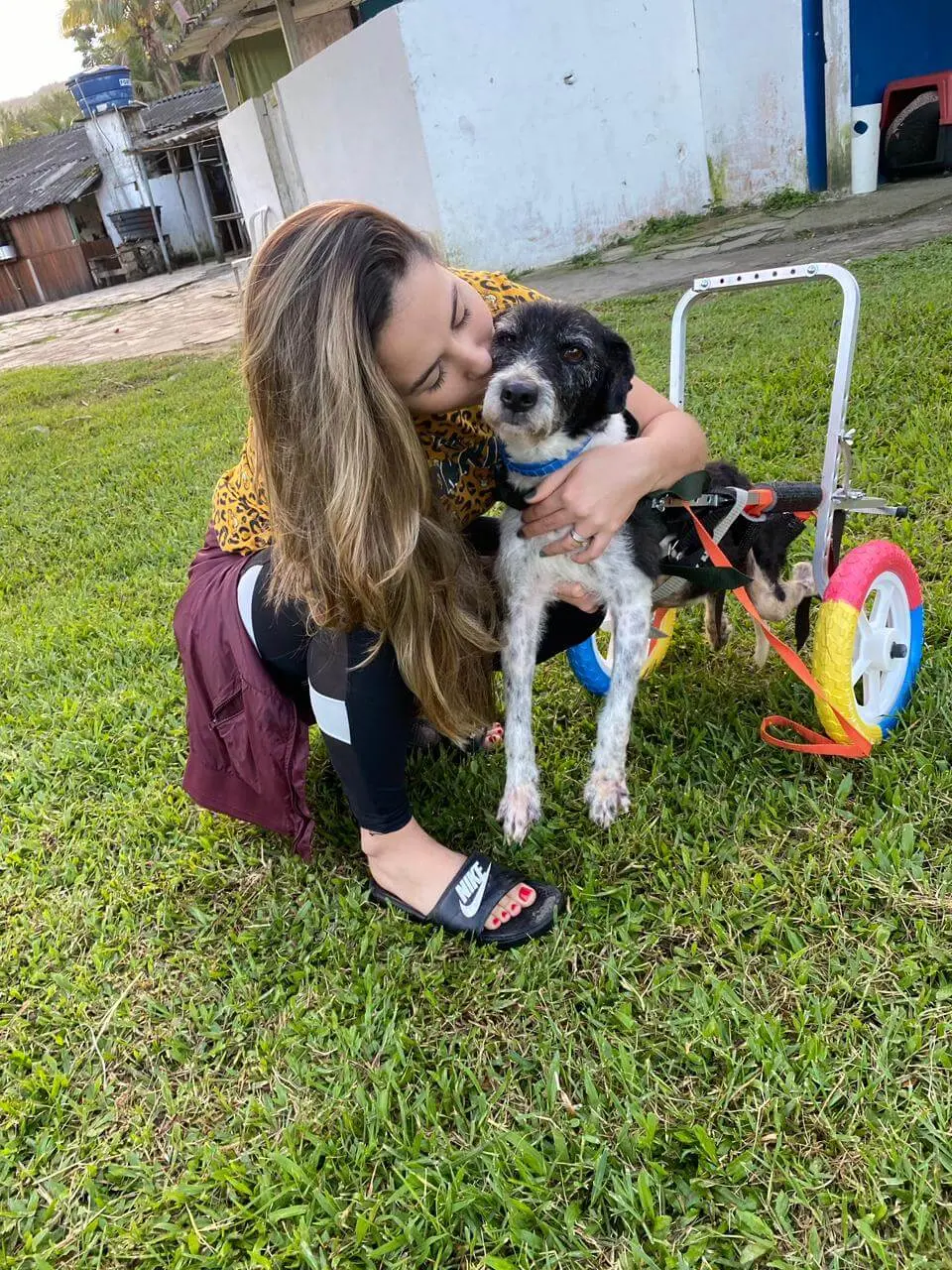Uma mulher abraça um cachorro que utiliza uma cadeira de rodas, em um gramado